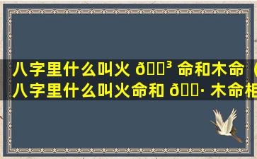 八字里什么叫火 🌳 命和木命（八字里什么叫火命和 🕷 木命相克）